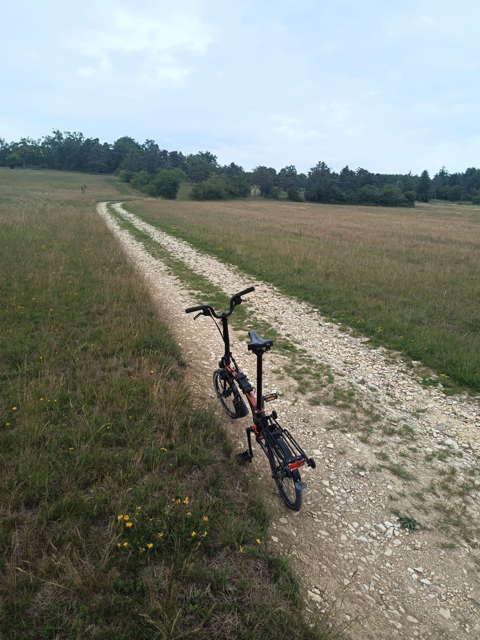 Rad am Plattenberg
